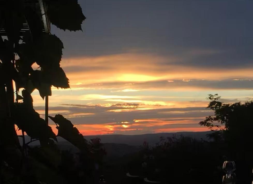 Villa Saignon Les Plus Beaux Villages De France エクステリア 写真