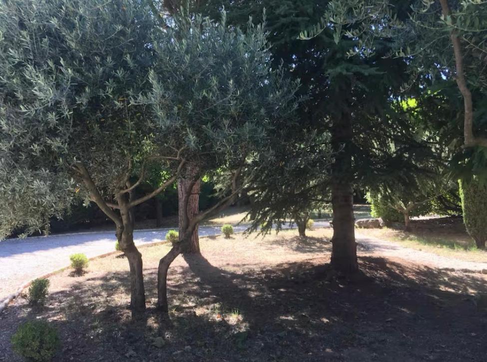 Villa Saignon Les Plus Beaux Villages De France エクステリア 写真